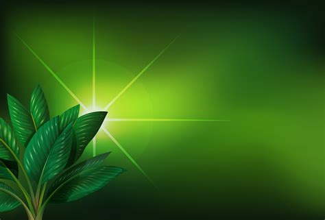 A green background with a plant 296741 Vector Art at Vecteezy