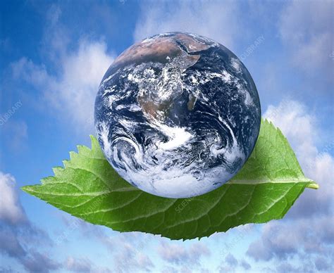 Environmental Issues Conceptual Artwork Stock Image C0013561