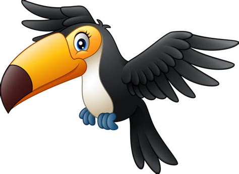 Various formats from 240p to 720p hd (or even 1080p). Best Cartoon Of A Toucan Flying Illustrations, Royalty-Free Vector Graphics & Clip Art - iStock