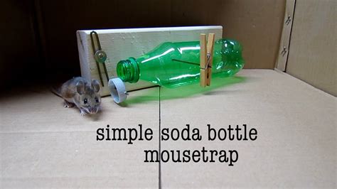 The problem with those is that they can only. How to make a simple SODA BOTTLE HUMANE MOUSETRAP (that ...
