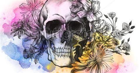 Watercolor Skull Stock Photo 54710107 Shutterstock Ink