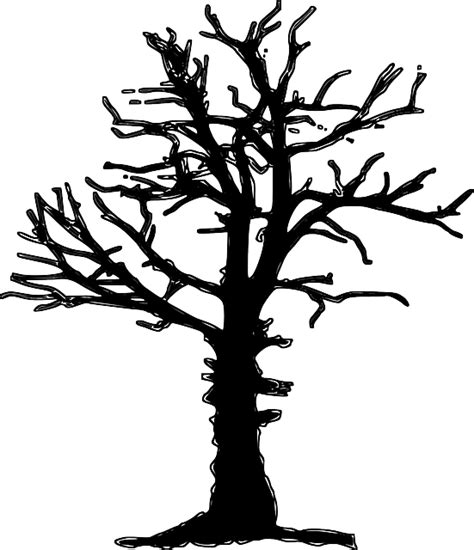 Maybe you would like to learn more about one of these? Gambar Pohon Vektor Png - Koleksi Gambar HD
