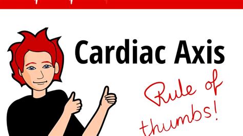 We did not find results for: ECG / EKG Cardiac Axis - Rule of Thumbs - YouTube