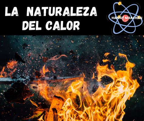 La Naturaleza Del Calor — Hive