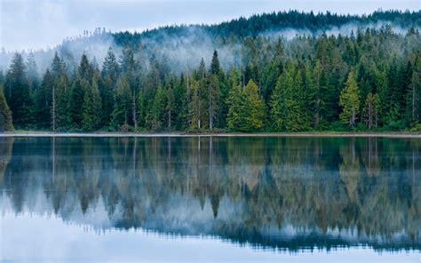 1099320 Trees Landscape Forest Lake Water Nature Reflection