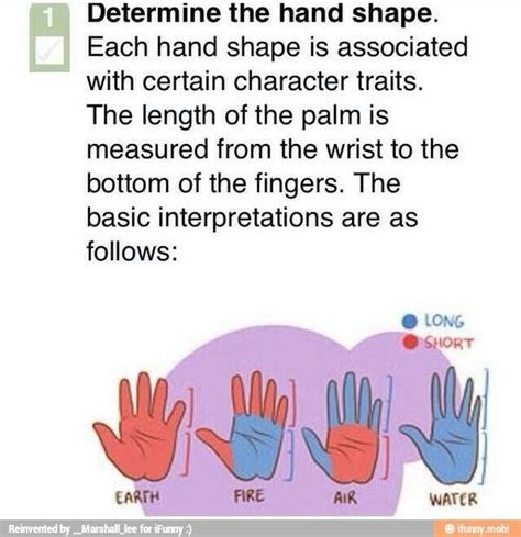 Interpreting Hands Palmistry Hand Palmistry Hand Shapes