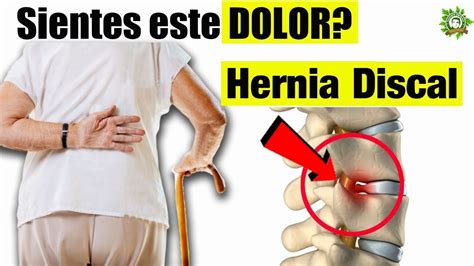 Síntomas De Hernia Discal Lumbar Y Ejercicios Para Mejorar Tu Dolor De