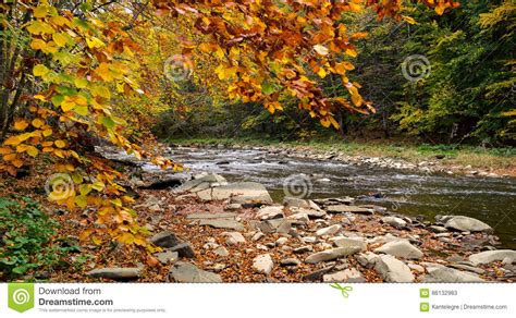 Autumn Forest And River And Rocks Stock Image Image Of