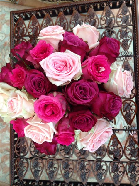 Beautiful Blueberry Sweet Dolomiti And Pink Sudoku Roses In A Hand