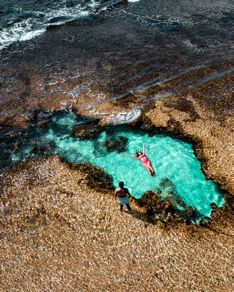 Our Complete Downloadable Guide To Rottnest Island Secret Spots Use Our Guide To Help You Visit