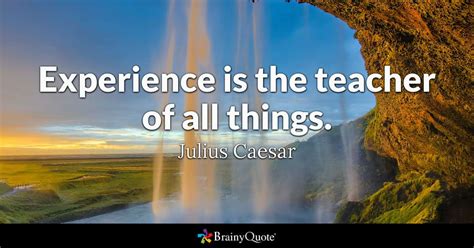 Experience is the best teacher. Experience is the teacher of all things. - Julius Caesar ...