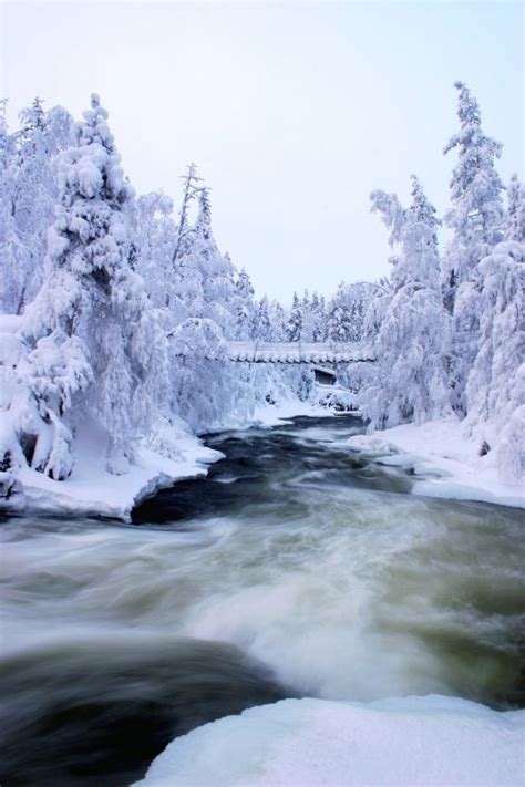 Myllykoski Falls In Kitka River During Winter Kuusamo Finnish Lapland