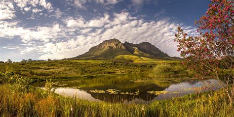 Helderberg From The Nature Reserve Pond Cape Town Tourism Somerset