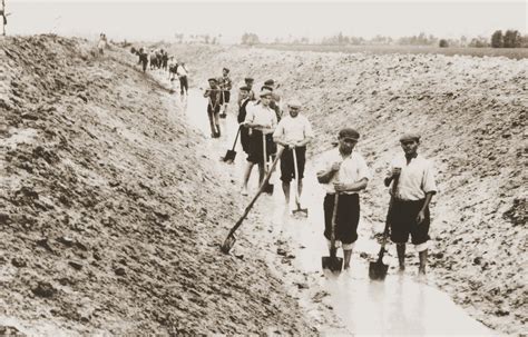 Jews At Forced Labor Stand With Shovels In A Water Filled Trench