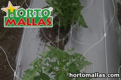 Tomato Trellis3 Hortomallas™ Supporting Your Crops®