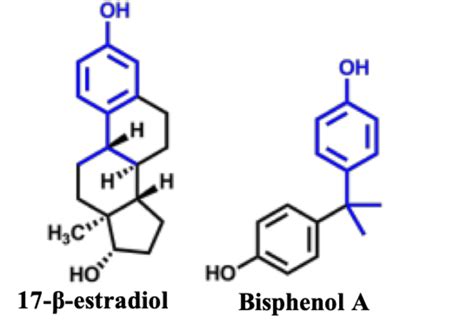 7 Structures Of 17 β Estradiol And Bisphenol A The Plastic Monomer