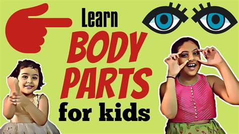 Learn Body Parts For Kids 🙋‍♀️ Kidsactivity Preschool Kindergarten