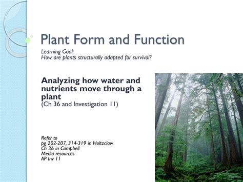 Ppt Plant Form And Function Powerpoint Presentation Free Download