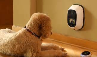 Dog Camera Attention Dog Lovers You Need This Allcore Communications