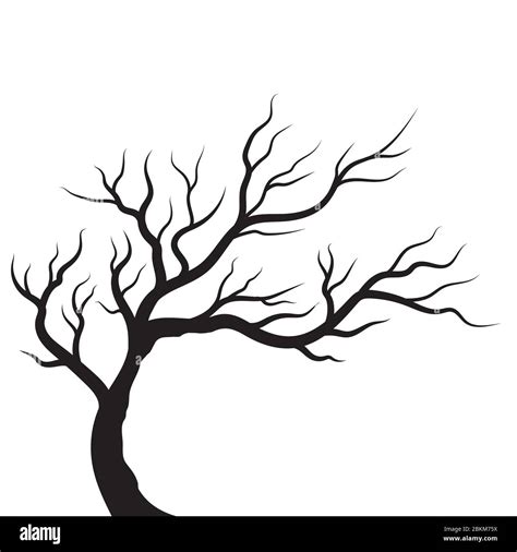 Tree Branch Vector Illustration Design Template Stock Vector Image