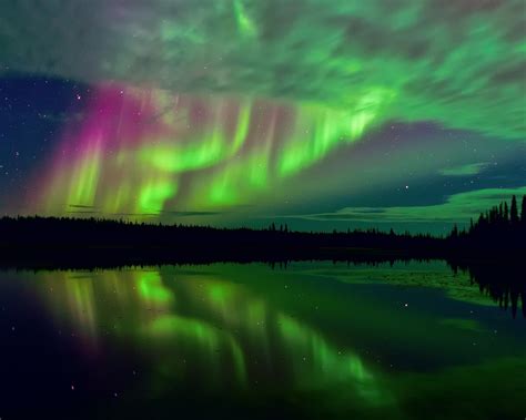 Free Download Northern Lights And Stars Wallpapers
