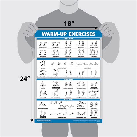 Palace Learning 4 Pack Warm Up Exercises Muscle System Anatomy