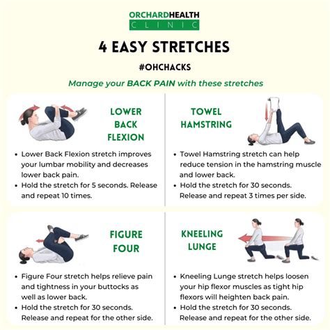 4 Easy Stretches For Back Pain Orchard Health Clinic Osteopathy