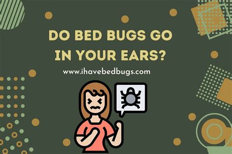 Do Bed Bugs Go In Your Ears How Do You Get Rid Of Them