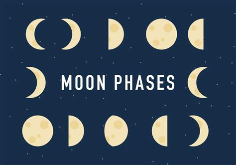 The Moon Phases Process Vector Download Free Vector Art Stock