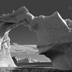 Antarctic No Photograph By Joe Bonita Pixels