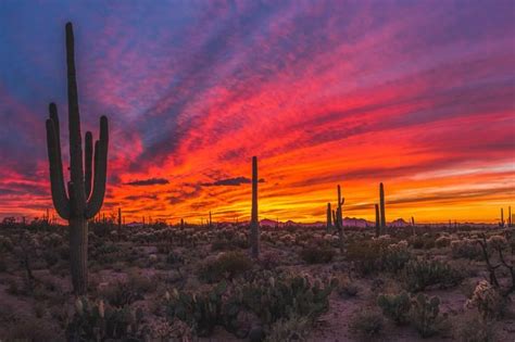 Sonoran Desert Sunset Oc 2500x1667 Desert Sunset