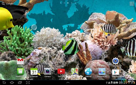 49 Aquarium Live Wallpaper Windows 10 On Wallpapersafari