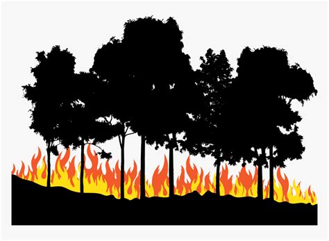 Fire Euclidean Vector Forest Fire Png Transparent Png