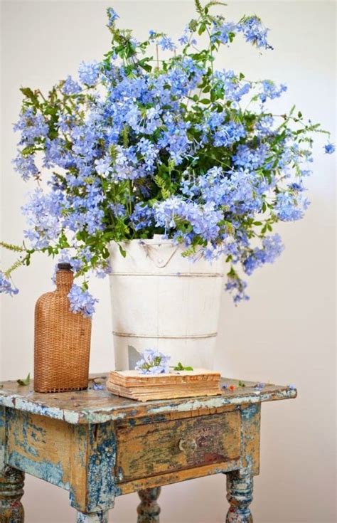 Arredare casa con i fiori secchi ha un indiscusso vantaggio: 5 idee creative e Shabby Chic per arredare con i secchi | Bellissimi fiori, Cesti floreali ...