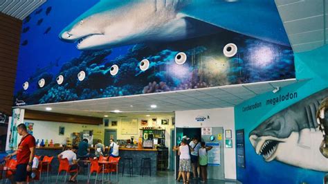Planee Su Visita Aquarium Costa De Almería