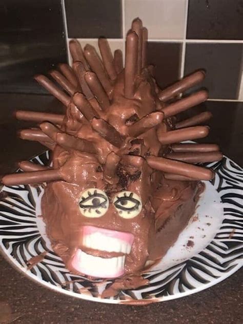 can anyone actually make a hedgehog cake correctly it appears not 25 pics