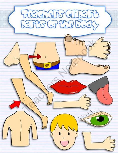 Free Body Parts Clipart 20 Free Cliparts Download Images On