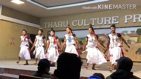 Tharu Cultural Dance Nepal Chitwan Youtube