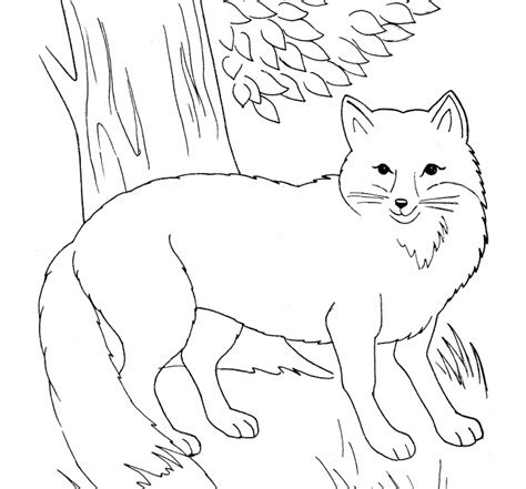 Aktuell finden sie die ausmalvorlagen in hochauflösenden jpeg dateien vor, so das diese. Malvorlage Fuchs : Ausmalbild Tiere: Fuchs zum Ausmalen ...