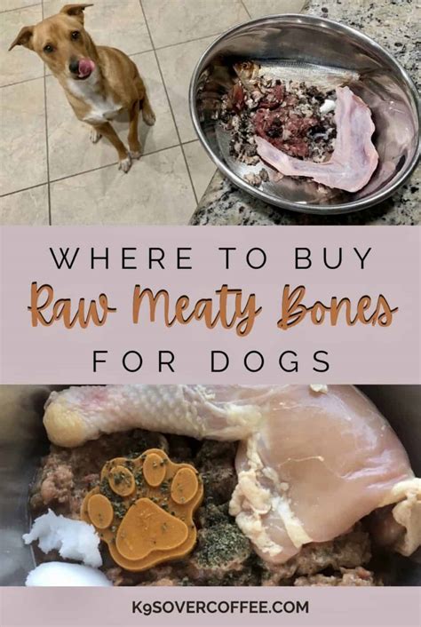 Raw Meaty Bones For Dogs How To Feed And Where To Buy Updated For 2023