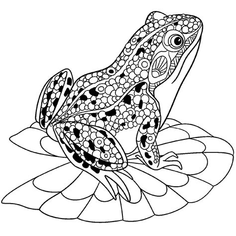 Cute Frog Coloring Sheets 101 Activity