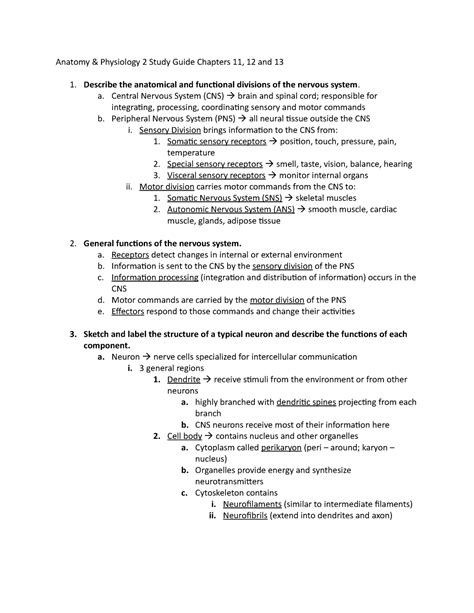 Study Guide Chapters 11 12 And 13 Anatomy And Physiology 2 Study Guide