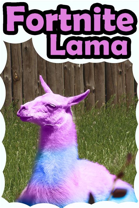 The Fortnite Lama In Real Life 😄 Funniest Fortnite Memes 🐪 Funny