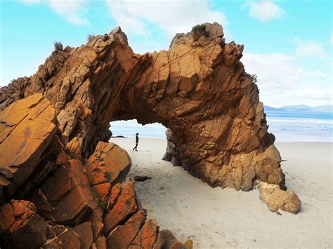 The Absolute Best Things To Do In Tasmania Top 50 World Of Wanderlust