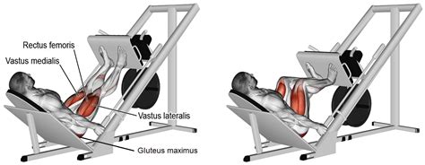 Swing your arms to propel your body upwards and forwards, once again,. Leg Press | Nasıl Yapılır? | Nereyi Çalıştırır ...