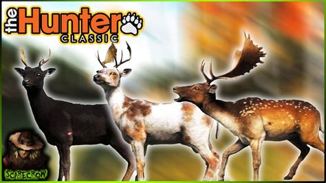 Fallow Deer Are Here In Thehunter Classic All Fur Types And Information