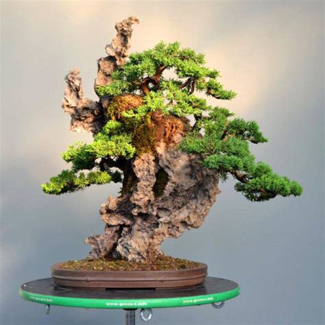 Something For Bonsai Rock Planting Lovers And Fans Stone Lantern