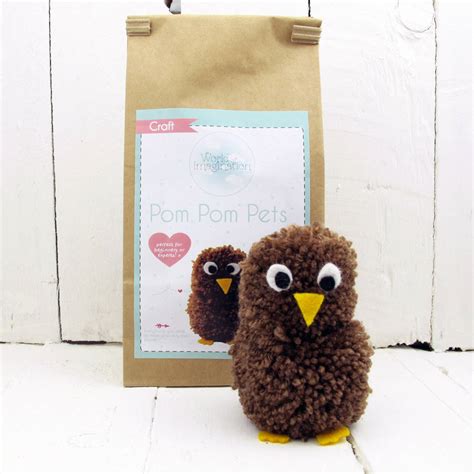 Pom Pom Pets Craft Kit Brown Owl By Chips And Sprinkles