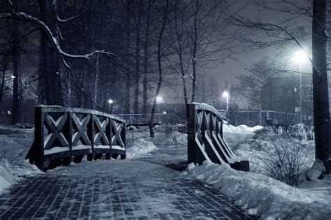 Winter Park At Night Frosty Winter In Dark Park Royalty Free Stock