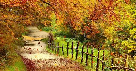 Wallpapers Beautiful Autumn Scenery Wallpapers